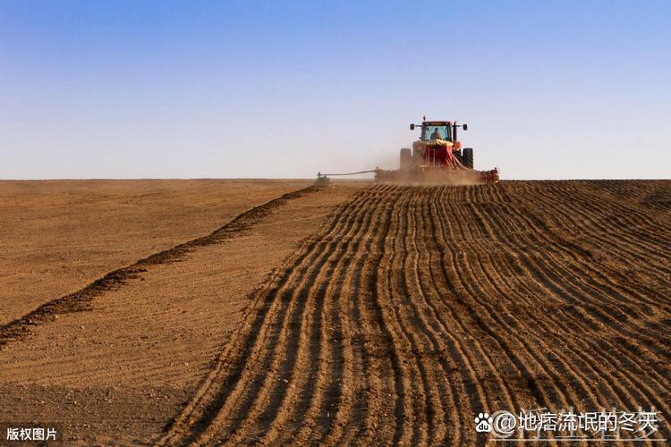 全国春播粮食面积已超3500万亩 全国春播粮食面积已超3500万亩