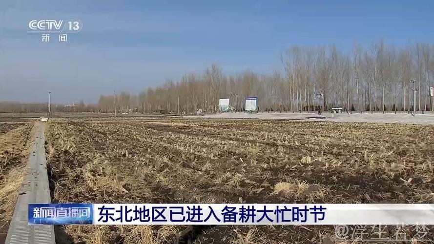 全国春播粮食面积已超3500万亩 全国春播粮食面积已超3500万亩